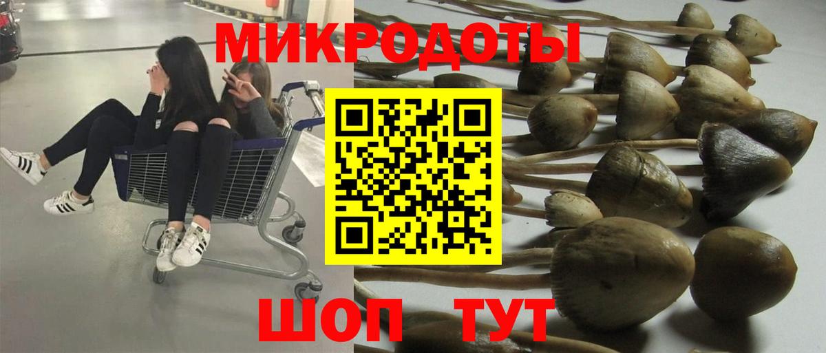 Псилоцибиновые грибы мицелий Звенигород